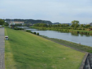 TAKO_town ajisai promenade